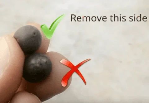 🪷🪷Japanese Lotus Plant Seeds (Pack of 50 Seeds)