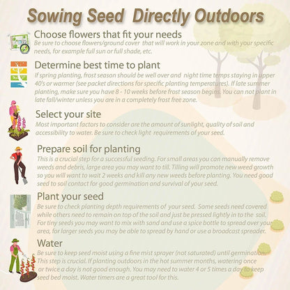 🪷🪷Japanese Lotus Plant Seeds (Pack of 50 Seeds)