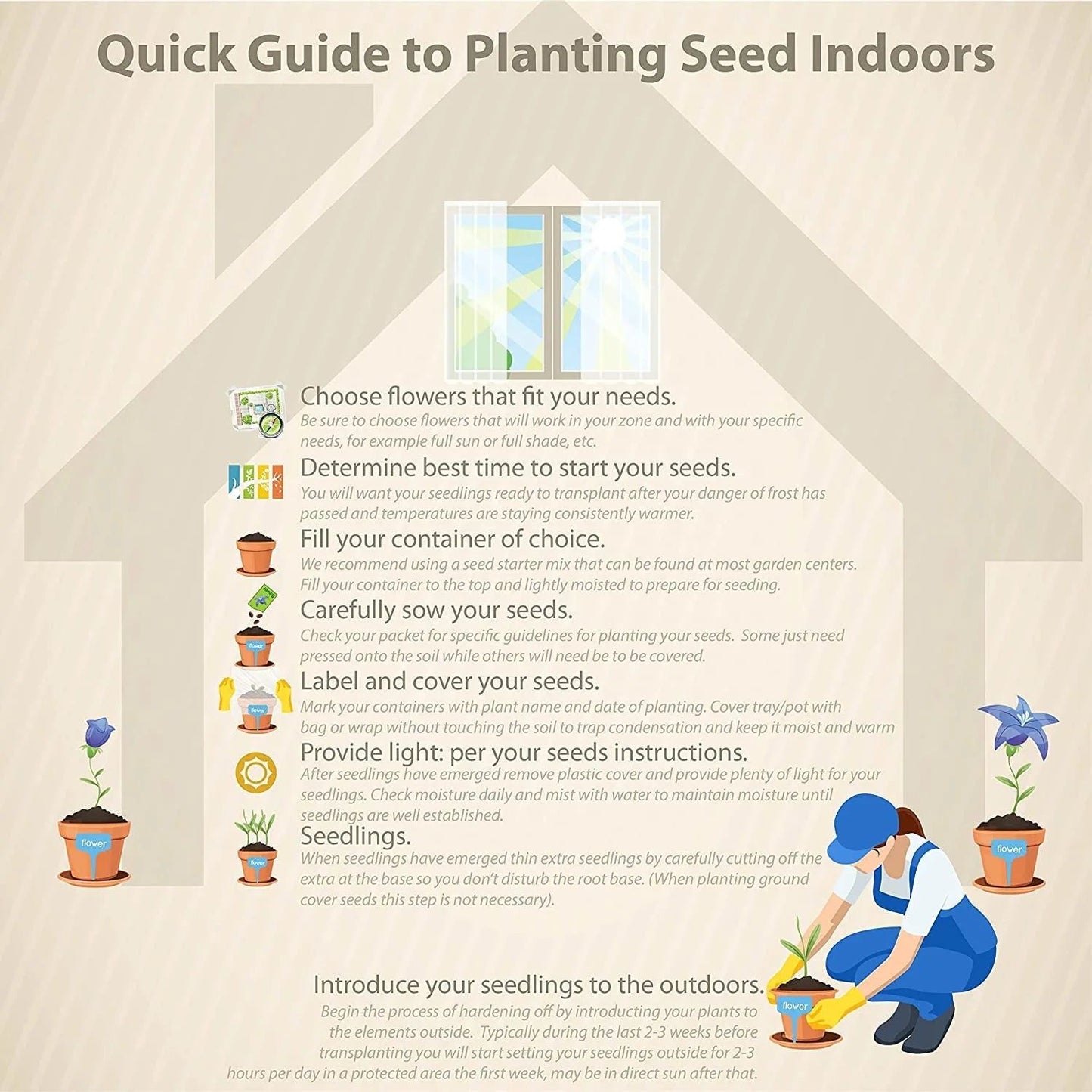 🪷🪷Japanese Lotus Plant Seeds (Pack of 50 Seeds)